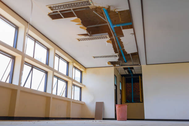 Best Flooded house restoration  in Aldan, PA