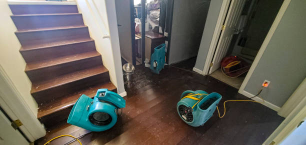 Best Ceiling water damage repair  in Aldan, PA