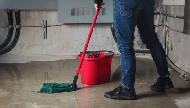 Best Fire Damage Restoration  in Aldan, PA