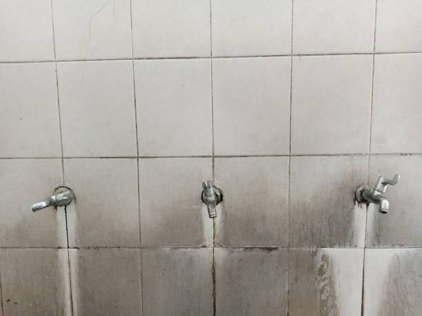 Best Water damage restoration near me  in Aldan, PA