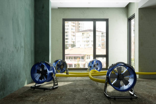 Best Water damage restoration near me  in Aldan, PA